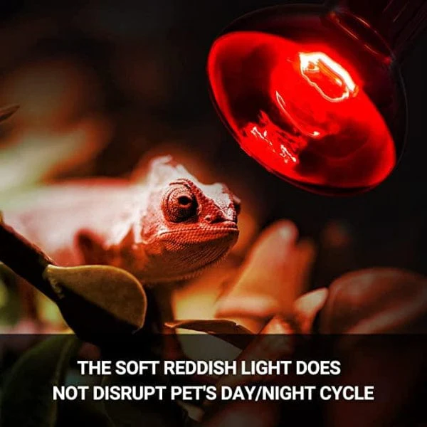 Reptizoo Combo Daylight & Nightlight Heat Lamps - Image 7