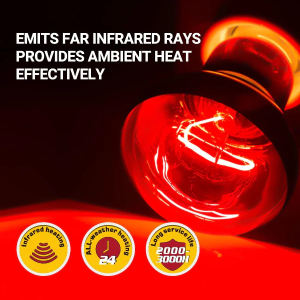 Reptizoo Combo Neodymium Daylight & Nightlight Heat Lamps - Image 2