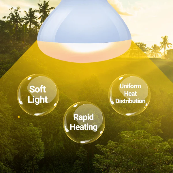 Reptizoo Combo Neodymium Daylight & Nightlight Heat Lamps - Image 3