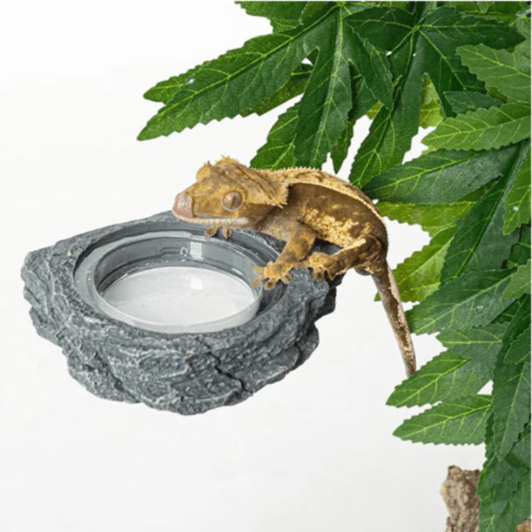 Reptizoo Reptile Magnetic Ledge Feeder - Image 2