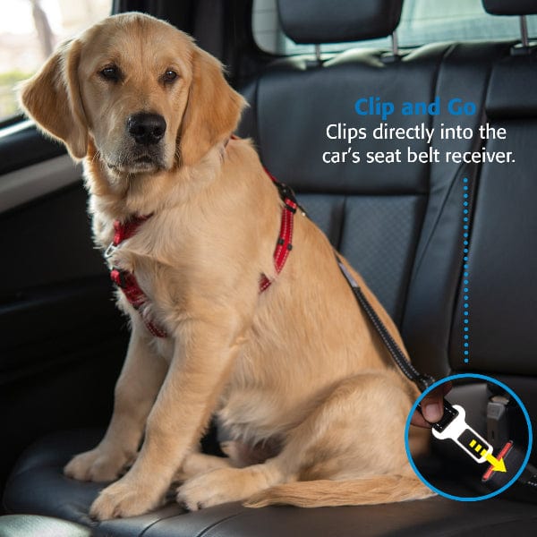 Rogz Utility Car-Safe Seat Belt Clip - Image 2
