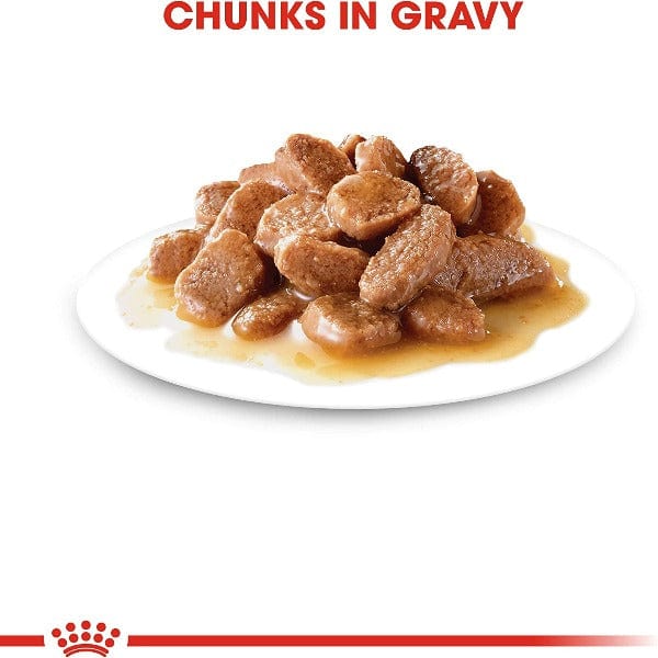 Royal Canin Adult Instinctive Chunks in Gravy Cat Food Pouch - Image 2