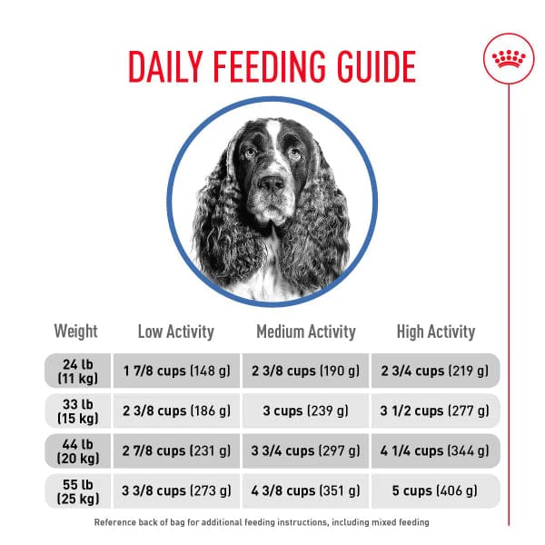 Royal Canin Medium Adult Weight Care Dry Dog Food, 30lb - Image 5