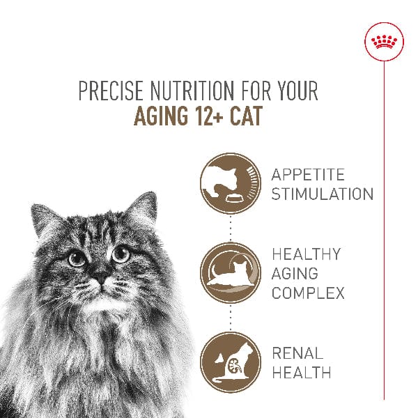 Royal Canin Aging 12+ Adult Dry Cat Food, 6lb - Image 2