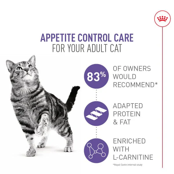 Royal Canin Appetite Control Care Dry Adult Cat Food - Image 2