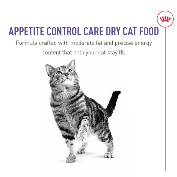 Royal Canin Appetite Control Care Dry Adult Cat Food - Image 3