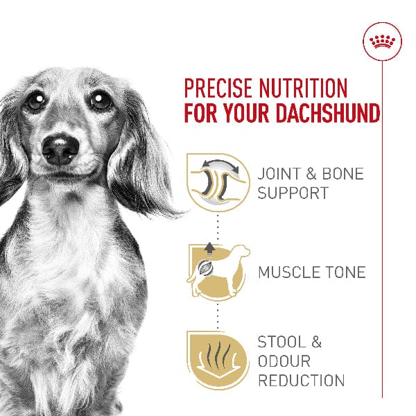 Royal Canin Dachshund Adult Dry Dog Food, 10lb - Image 2