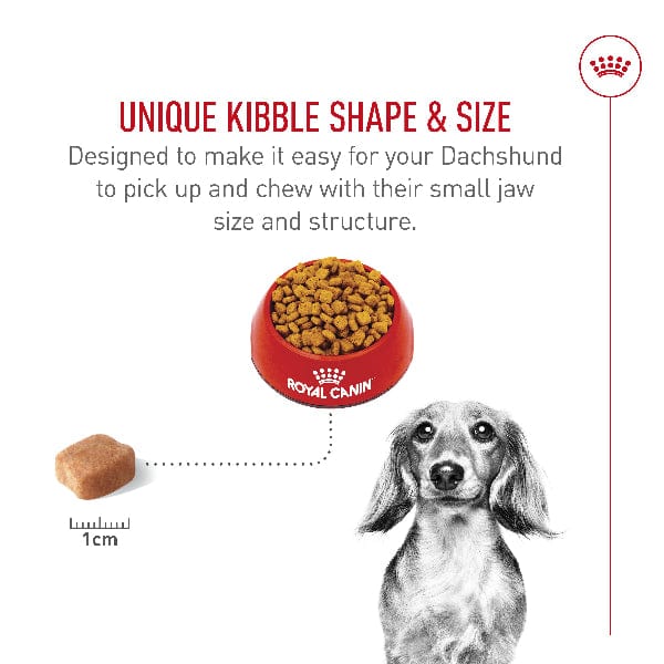 Royal Canin Dachshund Adult Dry Dog Food, 10lb - Image 4