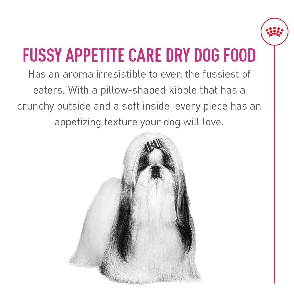 Royal Canin Small Fussy Appetite Dry Dog Food, 3.5lb - Image 3