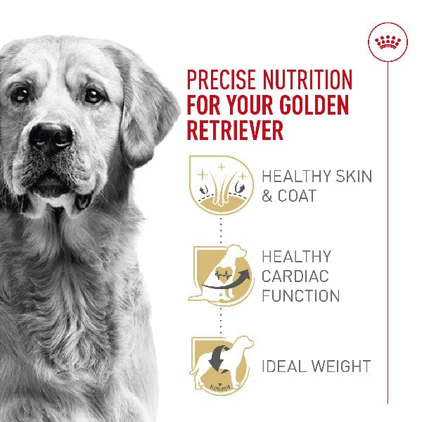 Royal Canin Golden Retriever Adult Dry Dog Food, 30lb - Image 2