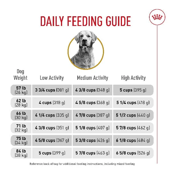 Royal Canin Golden Retriever Adult Dry Dog Food, 30lb - Image 5