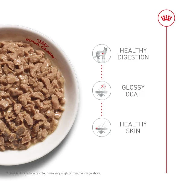 Royal Canin Hair & Skin Care Thin Slices in Gravy Canned Cat Food, 85g - Image 2