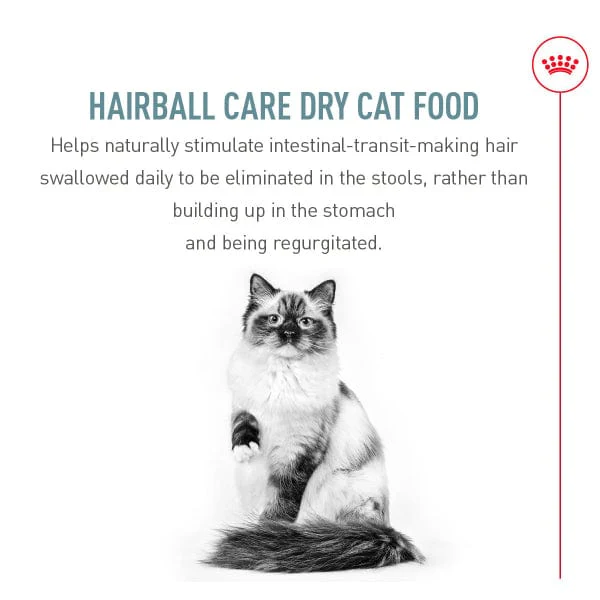 Royal Canin Hairball Care Dry Cat Food - Image 3