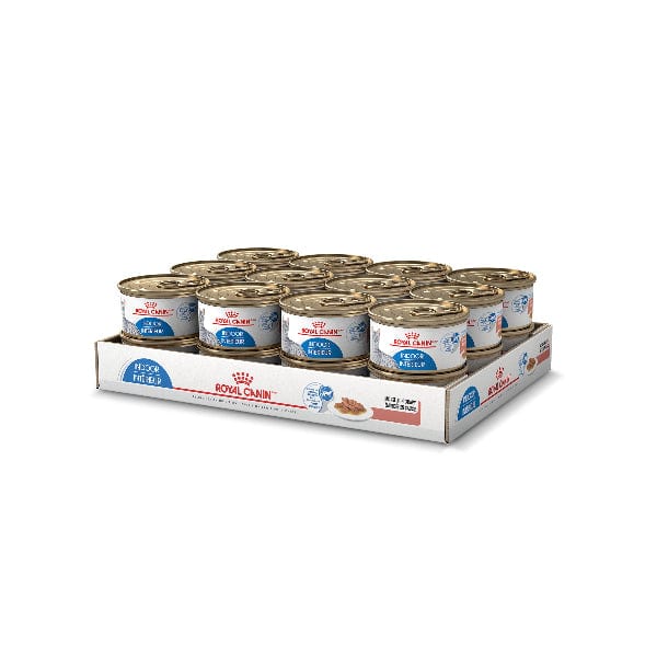 Royal Canin Indoor Adult Morsels in Gravy Canned Cat Food, 85g - Image 4