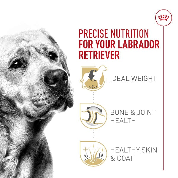 Royal Canin Labrador Retriever Adult Dry Dog Food, 30lb - Image 2