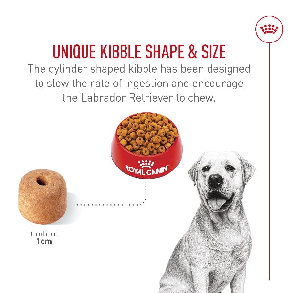 Royal Canin Labrador Retriever Adult Dry Dog Food, 30lb - Image 4