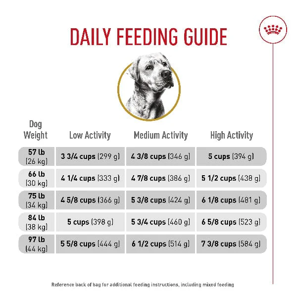 Royal Canin Labrador Retriever Adult Dry Dog Food, 30lb - Image 5