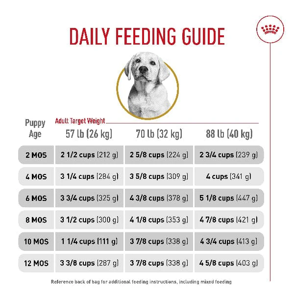 Royal Canin Labrador Retriever Puppy Dry Dog Food, 30lb - Image 5