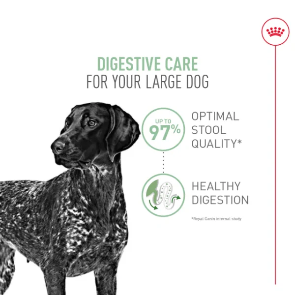 Royal Canin Large Adult Digestive Care Dry Dog Food, 30lb - Image 2
