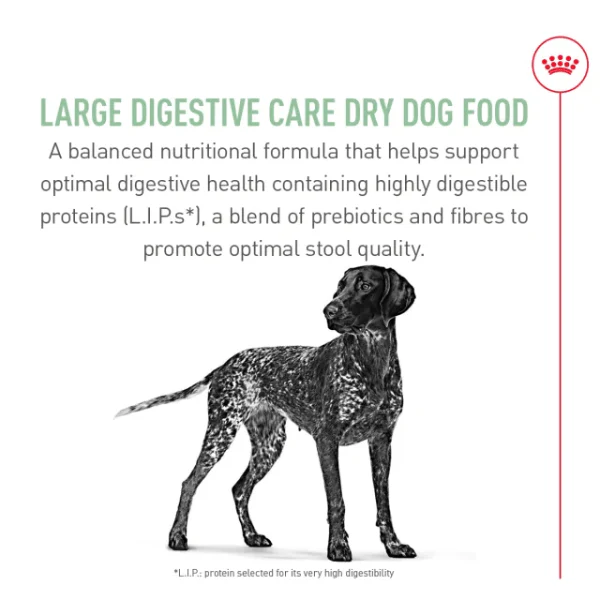 Royal Canin Large Adult Digestive Care Dry Dog Food, 30lb - Image 3