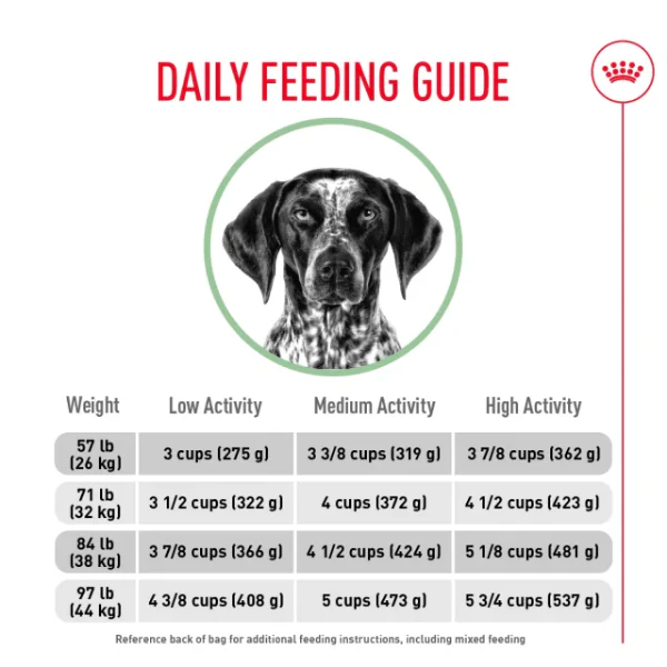 Royal Canin Large Adult Digestive Care Dry Dog Food, 30lb - Image 5