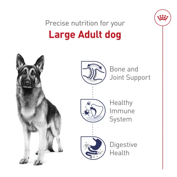 Royal Canin Large Adult Dry Dog Food - Image 4