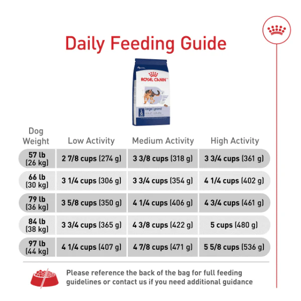 Royal Canin Large Adult Dry Dog Food - Image 5