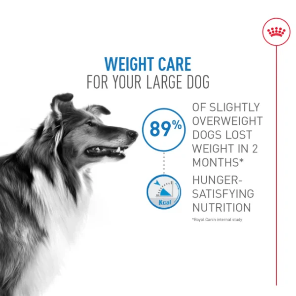 Royal Canin Large Adult Weight Care Dry Dog Food, 30lb - Image 2