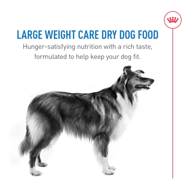 Royal Canin Large Adult Weight Care Dry Dog Food, 30lb - Image 3