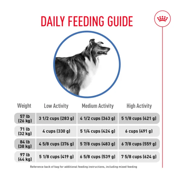 Royal Canin Large Adult Weight Care Dry Dog Food, 30lb - Image 5