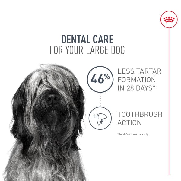 Royal Canin Large Breed Dental Care Dry Dog Food, 30lb - Image 2