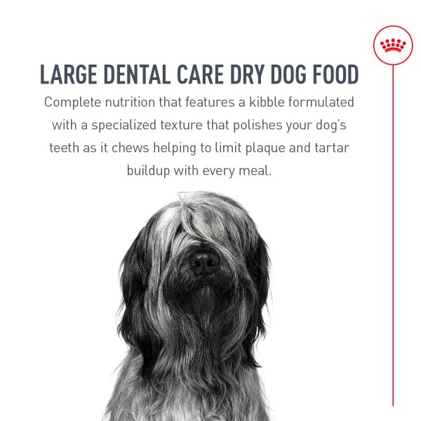 Royal Canin Large Breed Dental Care Dry Dog Food, 30lb - Image 3