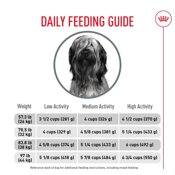 Royal Canin Large Breed Dental Care Dry Dog Food, 30lb - Image 5