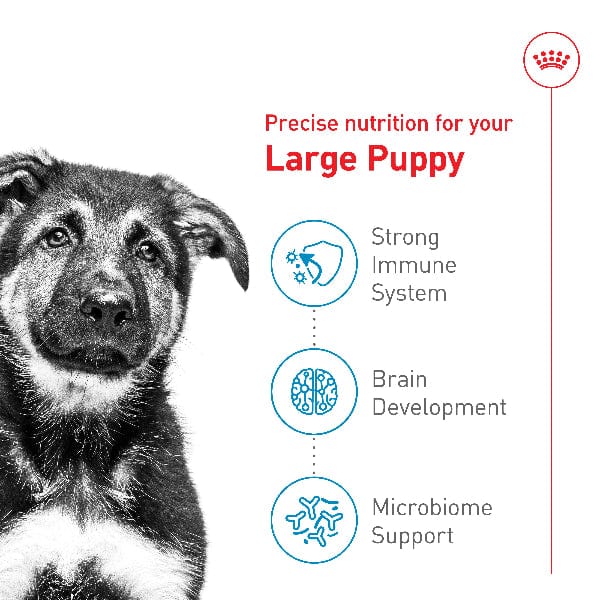Royal Canin Large Puppy Dry Dog Food - Image 2