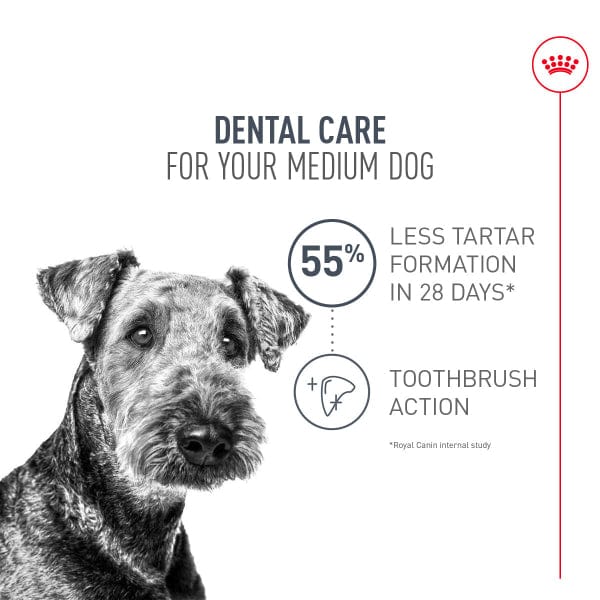 Royal Canin Medium Adult Dental Care Dry Dog Food, 28lb - Image 2