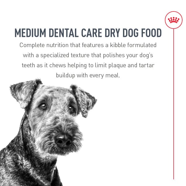 Royal Canin Medium Adult Dental Care Dry Dog Food, 28lb - Image 3
