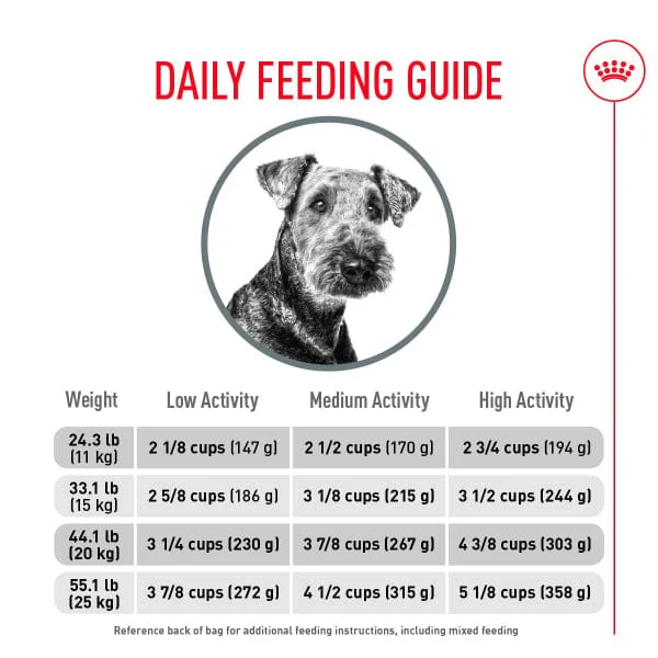 Royal Canin Medium Adult Dental Care Dry Dog Food, 28lb - Image 5