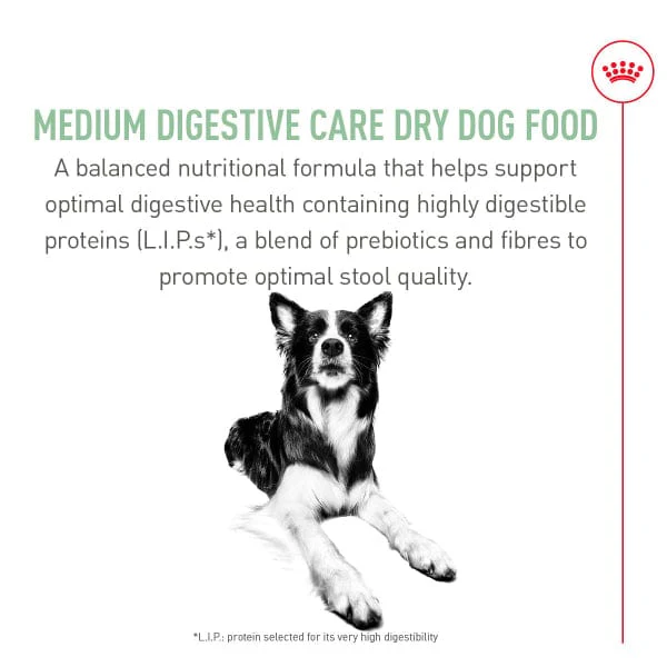 Royal Canin Medium Adult Digestive Care Dry Dog Food, 30lb - Image 3