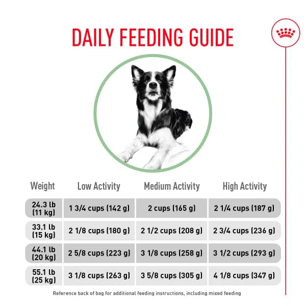 Royal Canin Medium Adult Digestive Care Dry Dog Food, 30lb - Image 5