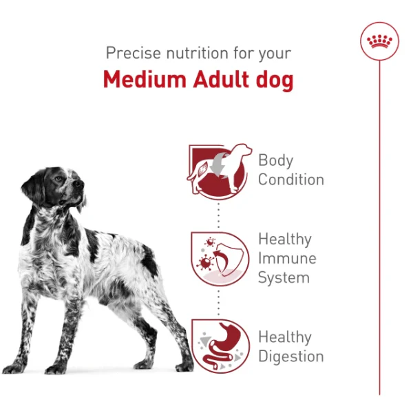 Royal Canin Medium Adult Dry Dog Food - Image 4