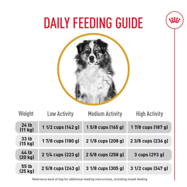 Royal Canin Medium Adult Sensitive Skin Care Dry Dog Food, 30lb - Image 5