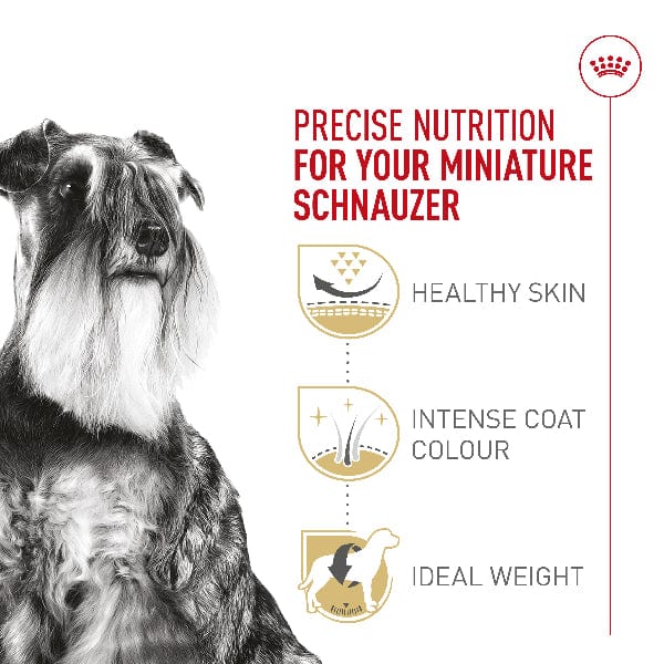 Royal Canin Miniature Schnauzer Adult Dry Dog Food, 10lb - Image 2