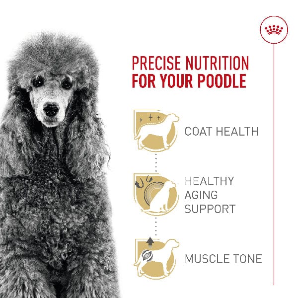 Royal Canin Poodle Adult Dry Dog Food - Image 2