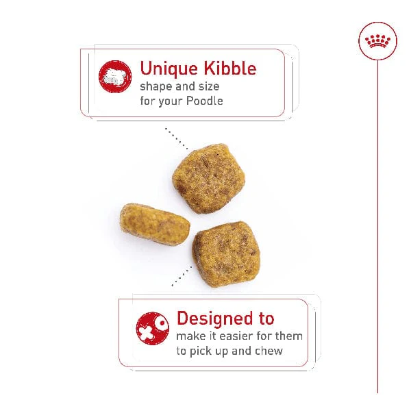 Royal Canin Poodle Adult Dry Dog Food - Image 3