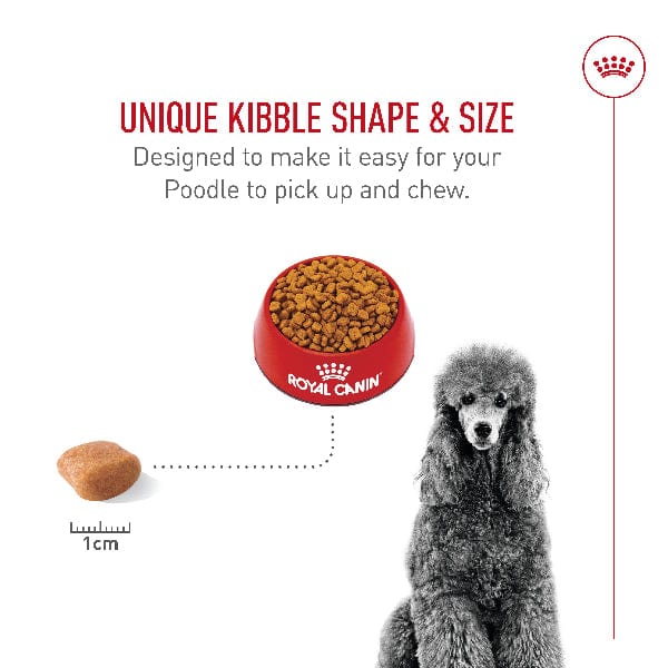 Royal Canin Poodle Adult Dry Dog Food - Image 4