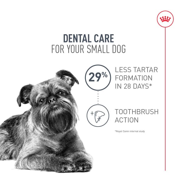 Royal Canin Small Adult Dental Care Dry Dog Food - Image 2