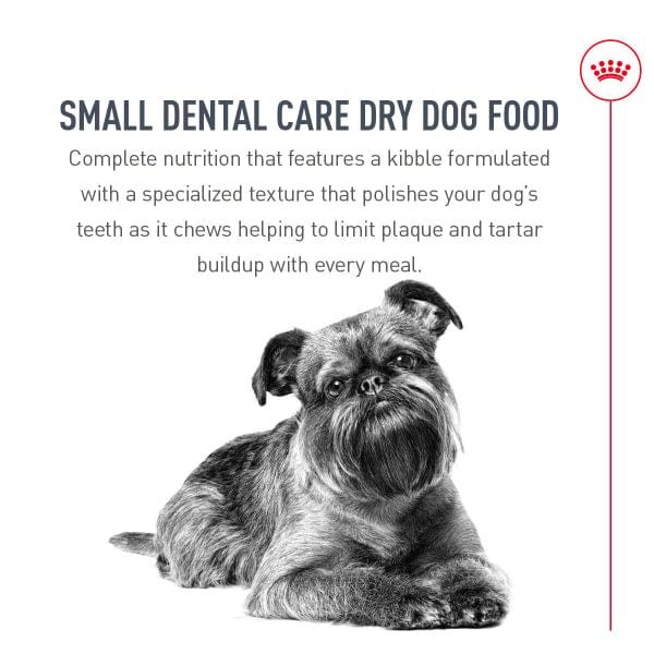 Royal Canin Small Adult Dental Care Dry Dog Food - Image 3