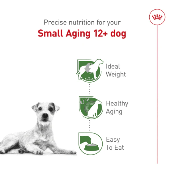 Royal Canin Small Aging 12+ Dry Dog Food, 2.5lb - Image 3