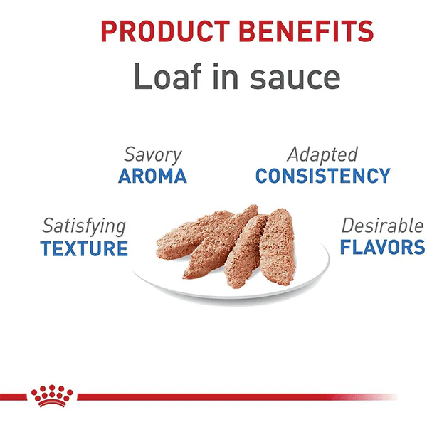 Royal Canin Weight Care Loaf in Sauce Canned Cat Food - Image 2
