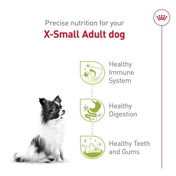 Royal Canin X-Small Adult Dry Dog Food - Image 4